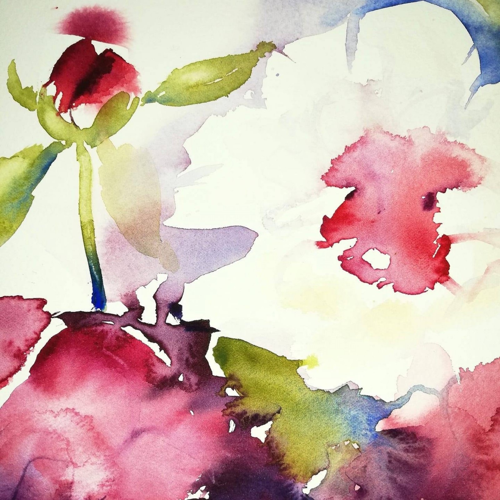 Flowers - Watercolor Painting in Tuscany